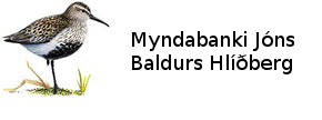 Myndabanki Jóns Baldurs Hlíðberg