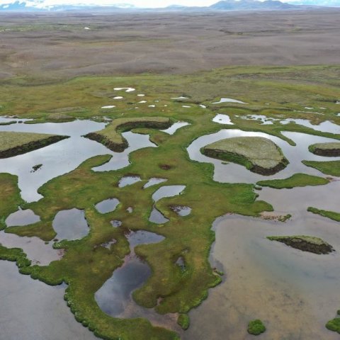 Rústa og tjarnasvæði úr Orravatnsrústum. Sést til Miklafells og Illviðrahnjúka í baksýn.