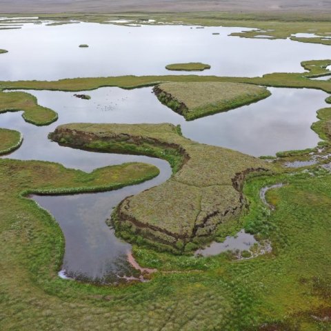 Rústa og tjarnasvæði úr Orravatnsrústum.