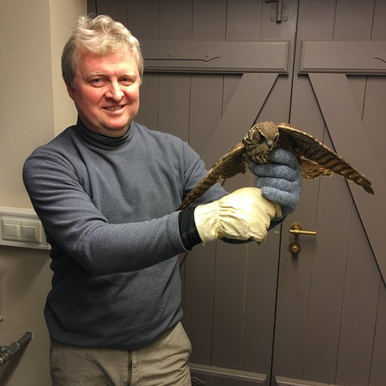 Smyrill í aðhlynningu hjá NNV