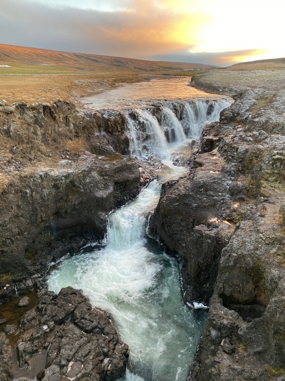 Náttúrustofa Norðurlands vestra óskar öllum gleðilegra jóla og farsældar á komandi ári. Þökkum innli…