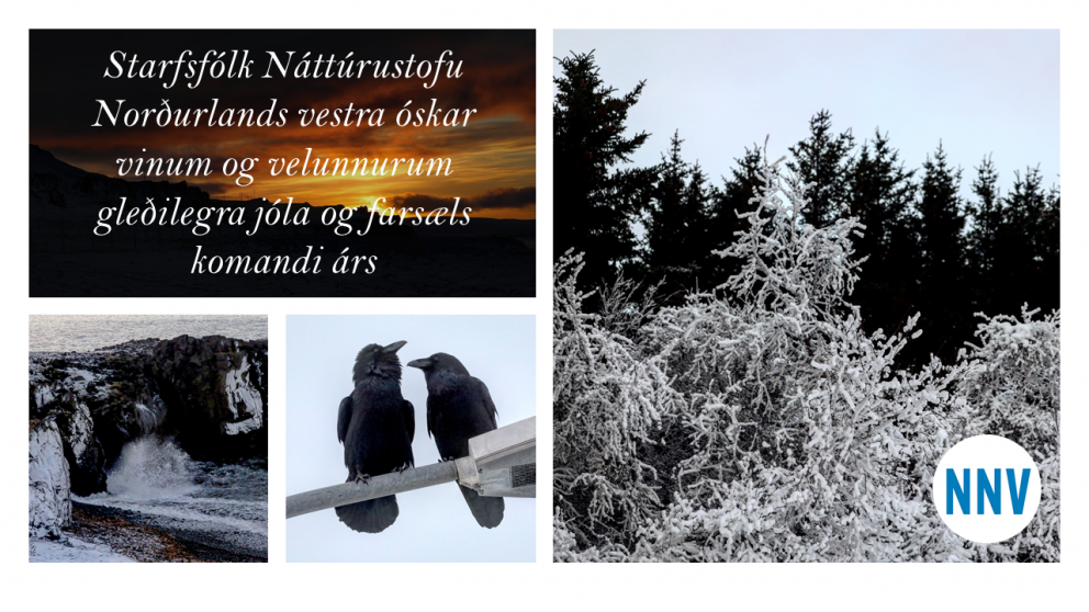 Jólakveðja frá Náttúrustofu Norðurlands vestra