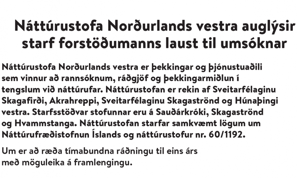 Starf forstöðumanns laust til umsóknar
