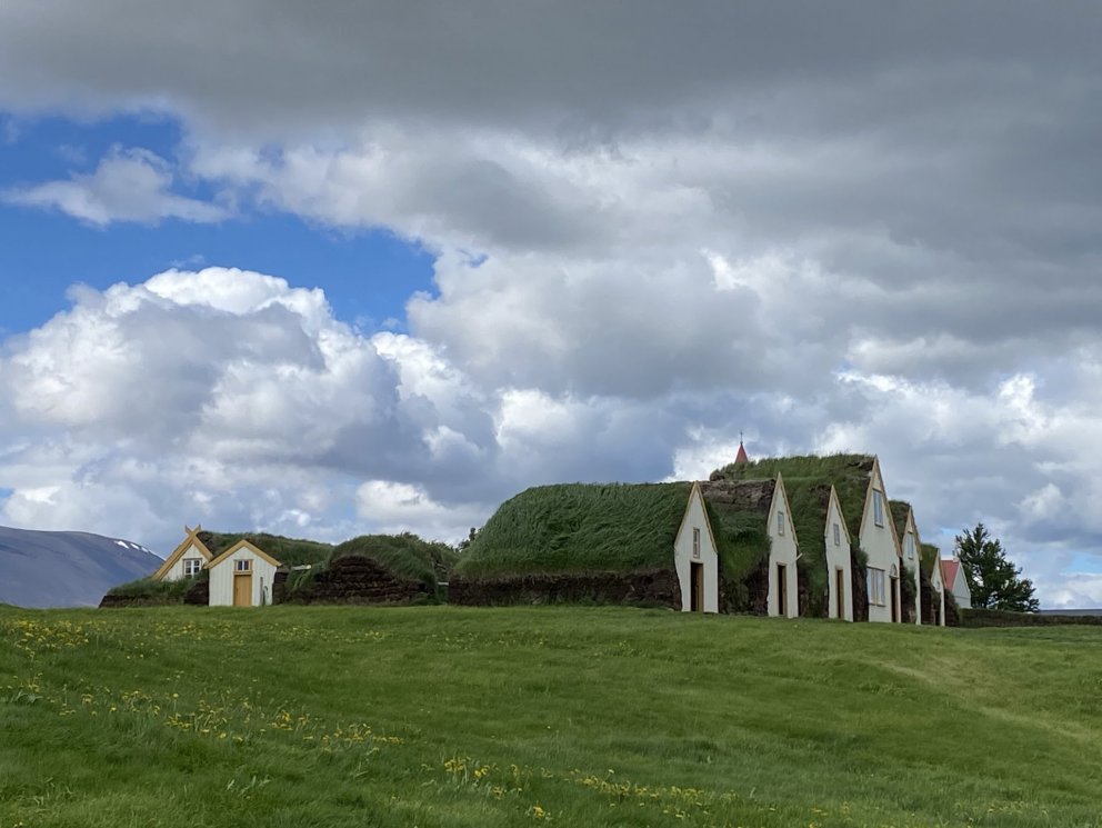 Sýning um villtar plöntur sem náskyldar eru nytjaplöntum verður formlega opnuð í Glaumbæ sunnudaginn…