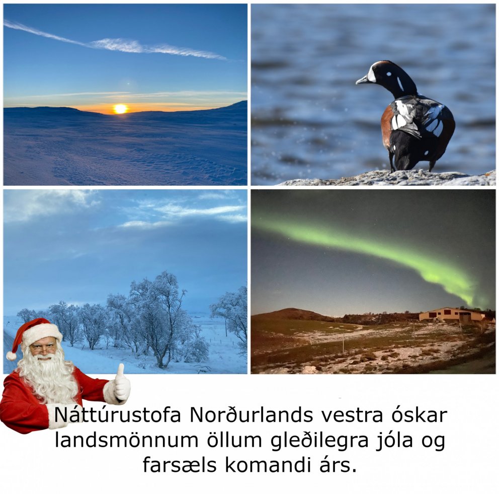 Gleðileg jól og farsælt komandi ár.