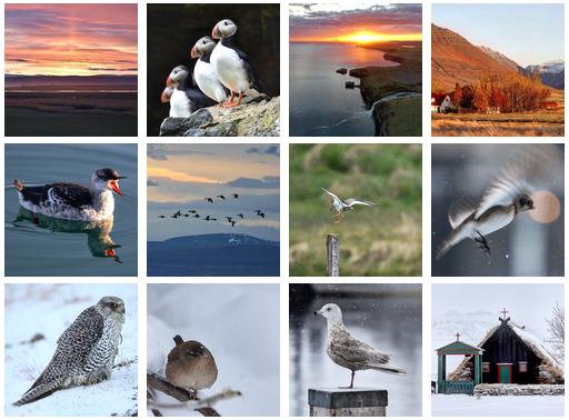 Ýmislegt af myndasíðunni