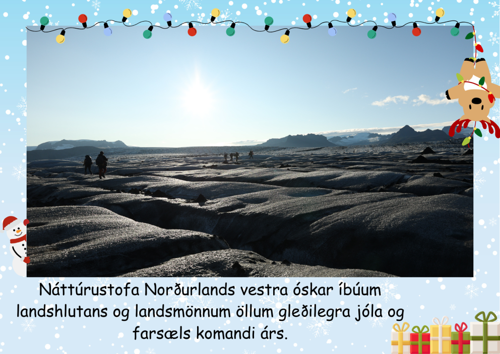 Jólakveðja frá Náttúrustofu Norðurlands vestra