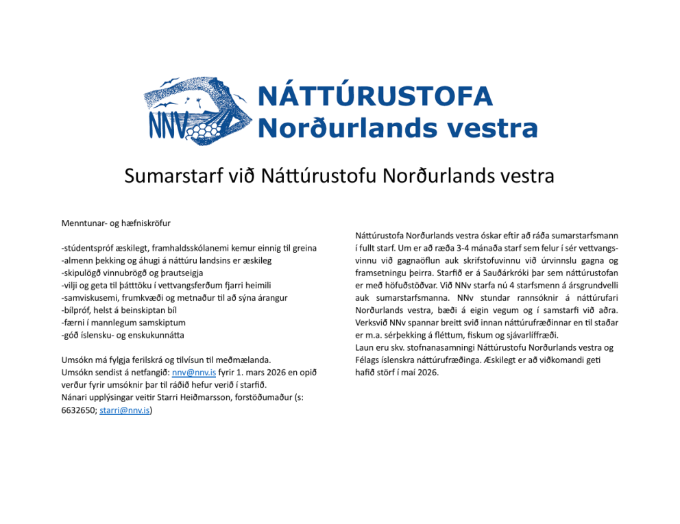 Sumarstarf hjá NNv