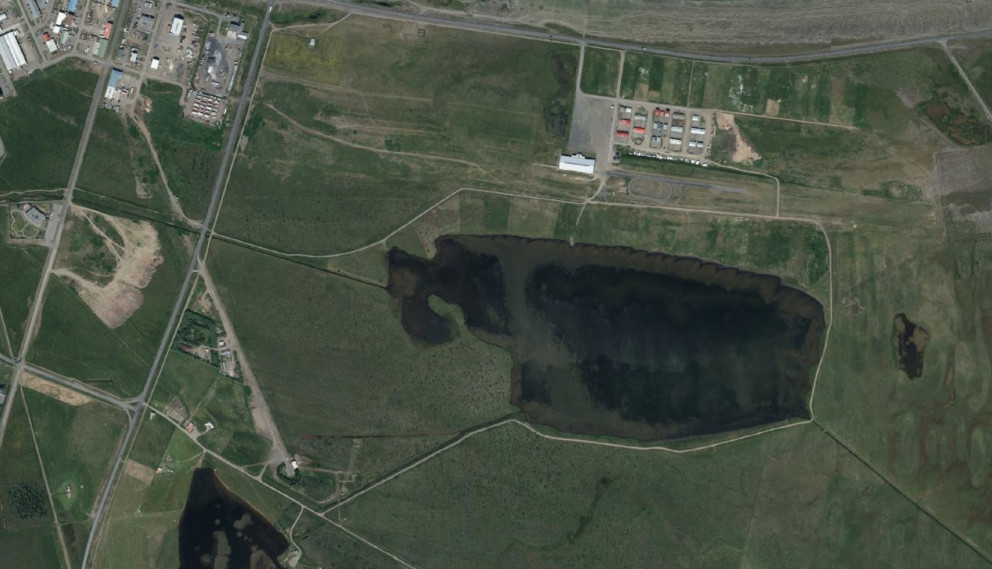 Rannsóknir á fjölbreyttu lífríki við Tjarnartjörn