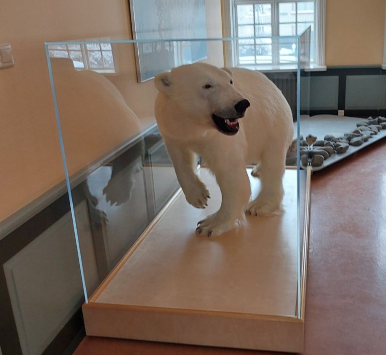 Opið hús í Sæluviku