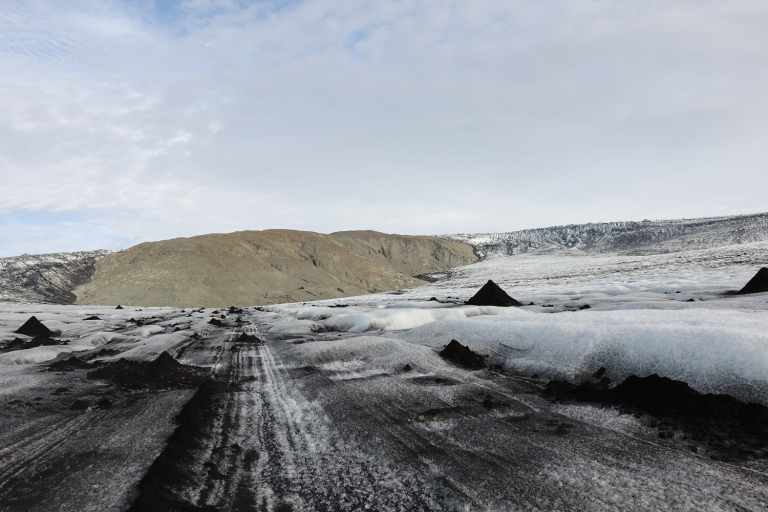 Kárasker reis úr jökli uppúr 1930, þar hafa fundist 71 tegund æðplantna